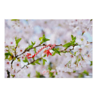 Póster Beautiful spring greeting