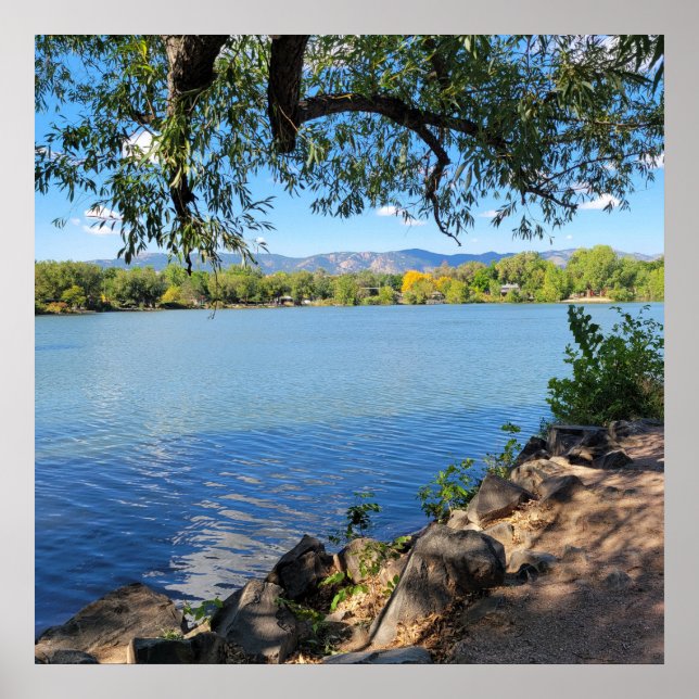 Póster Beautiful Summer's Day City Park Fort Collins CO  (Frente)