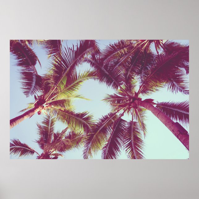 Póster Beautiful tropical palm tree around beach sea ocea (Frente)