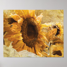Beautiful Yellow Texture Giant Sunflower Photo Art