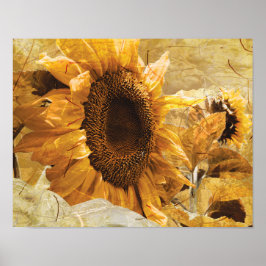 Póster Beautiful Yellow Texture Giant Sunflower Photo Art