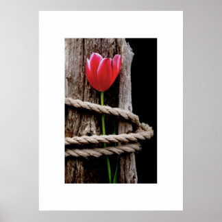 Póster Beauty Held Hostage Poster