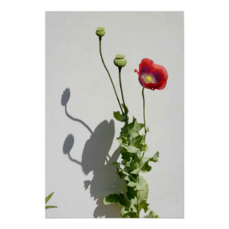 Póster Beauty is also the Beast.