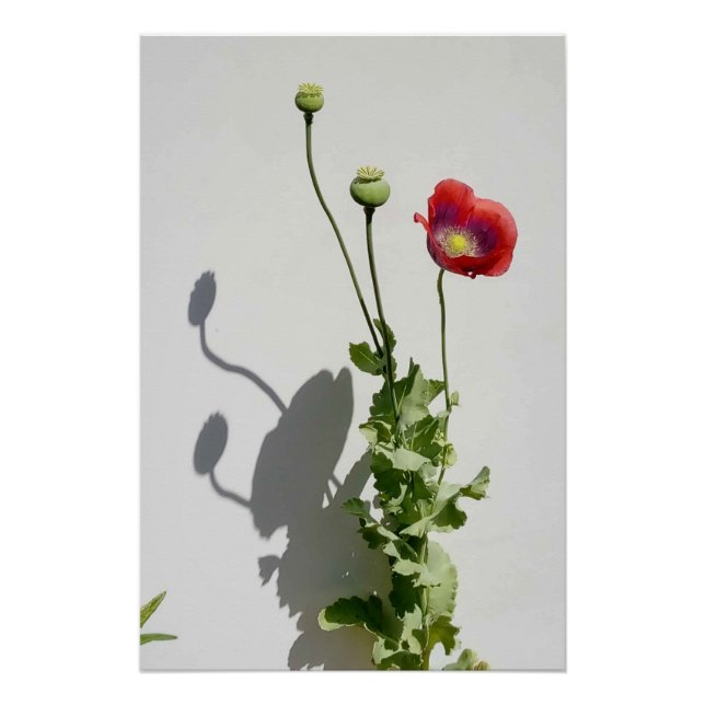 Póster Beauty is also the Beast. (Anverso)