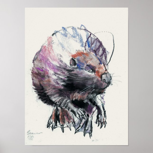 Póster Beaver 2001 (Frente)