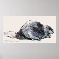 Beaver europeo