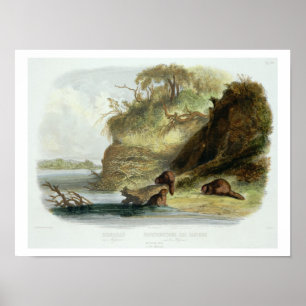 Póster Beaver Hut on the Missouri, plate 17 from volume 1