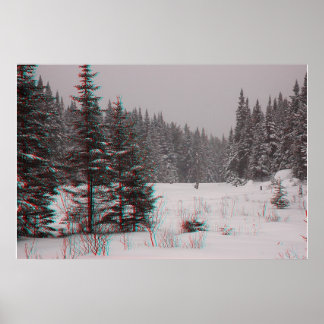 Póster Beaver Ponds