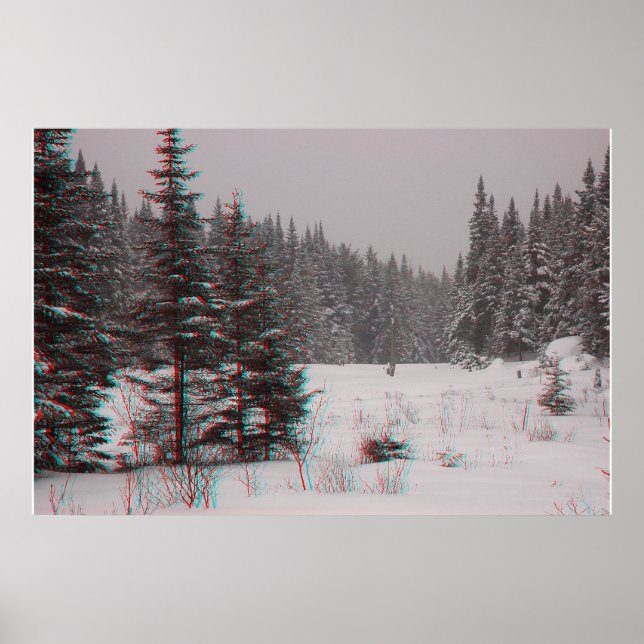 Póster Beaver Ponds (Frente)