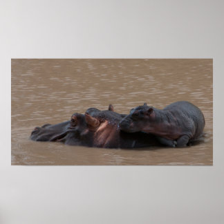 Póster Bebé a bordo