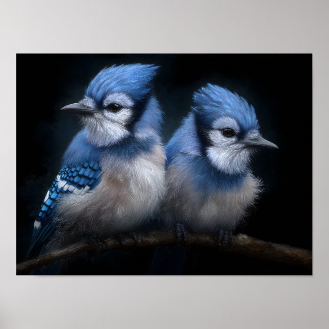 Póster Bebé Blue Jays (Frente)