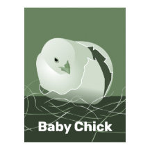 Bebé Chick Green Kitchen Wall Art