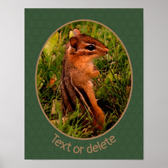 Póster Bebé Chipmunk Wildlife Animal Art Personalizado (Frente)