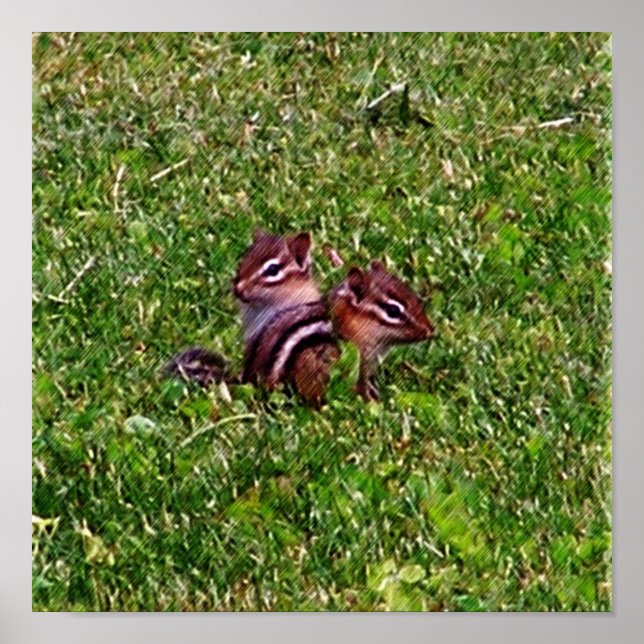 Póster Bebé Chipmunks Primer Día #3 Poster Animal (Frente)