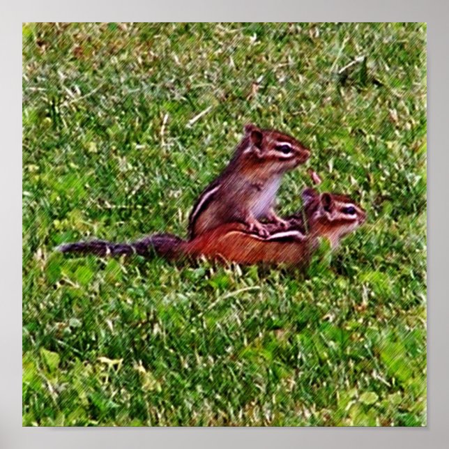Póster Bebé Chipmunks Primer Día #5 Animal (Frente)