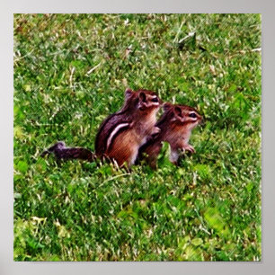 Póster Bebé Chipmunks Primer Día #6 Animal