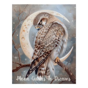Póster Bebé de ave de Halcón durmiendo en la Luna