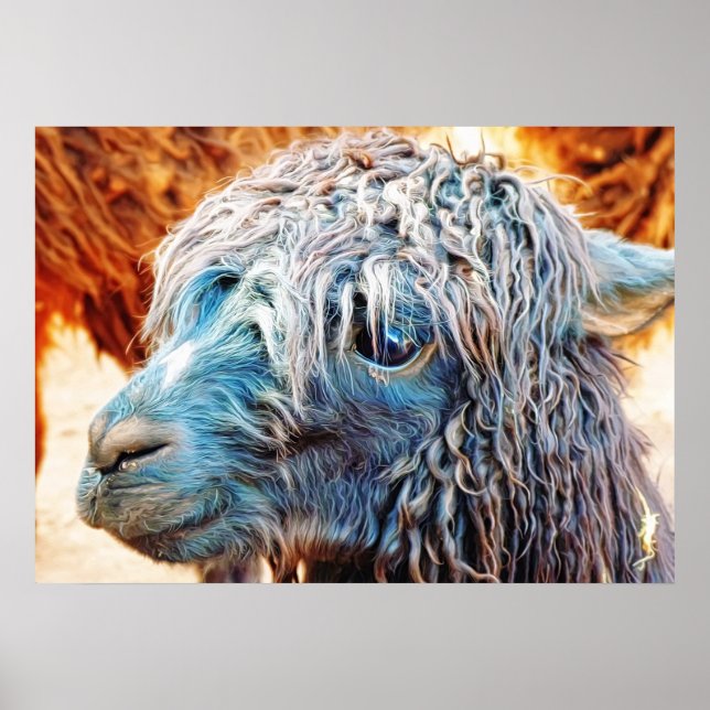 Póster Bebé de la Alpaca Cuta en Azul (Frente)