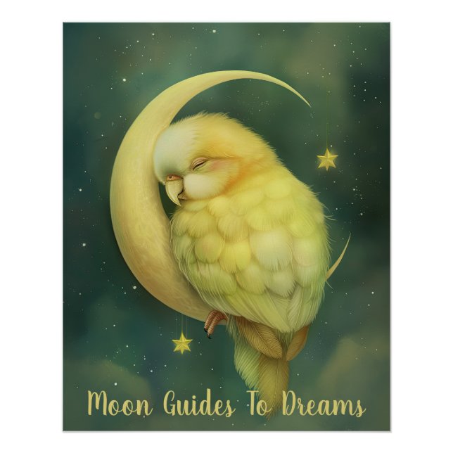 Póster Bebé de pájaro loro durmiendo en la luna (Anverso)