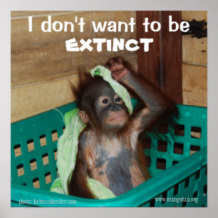 Póster Bebé de Pouty de la protección de la fauna