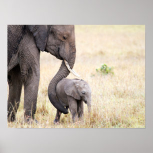 Póster Bebé elefante con foto de amor para la madre