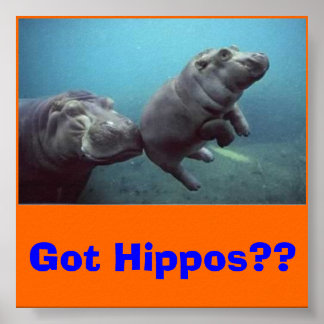 Póster bebé hipopótamo, ¿¿Tienes Hippos??