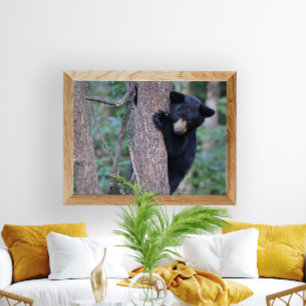 Póster Bebé juguetón de oso negro en foto de árbol