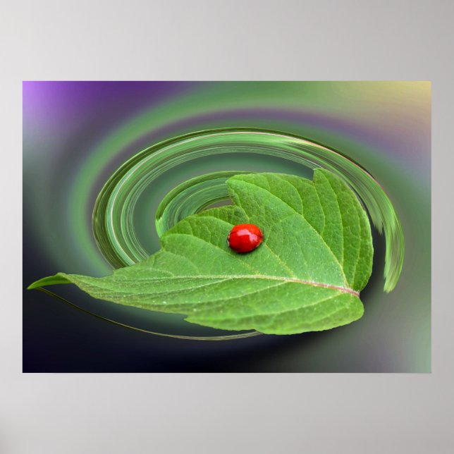 Póster bebé ladybug (Frente)