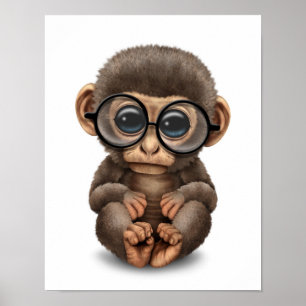 Póster Bebé lindo Mono con gafas oculares Blanco