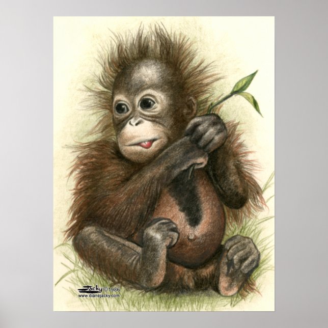 Póster Bebé Orangután Con Hojas (Frente)