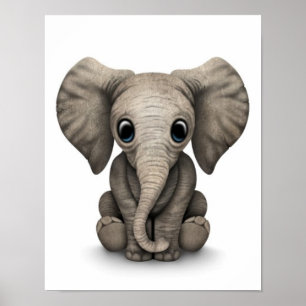Póster Bebé pequeño elefante sentado, blanco