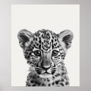Póster Bebé Safari Animales de la Jungla Africana Leopard