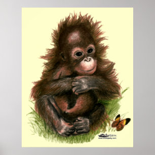 Póster Bebé y mariposa de Orangután
