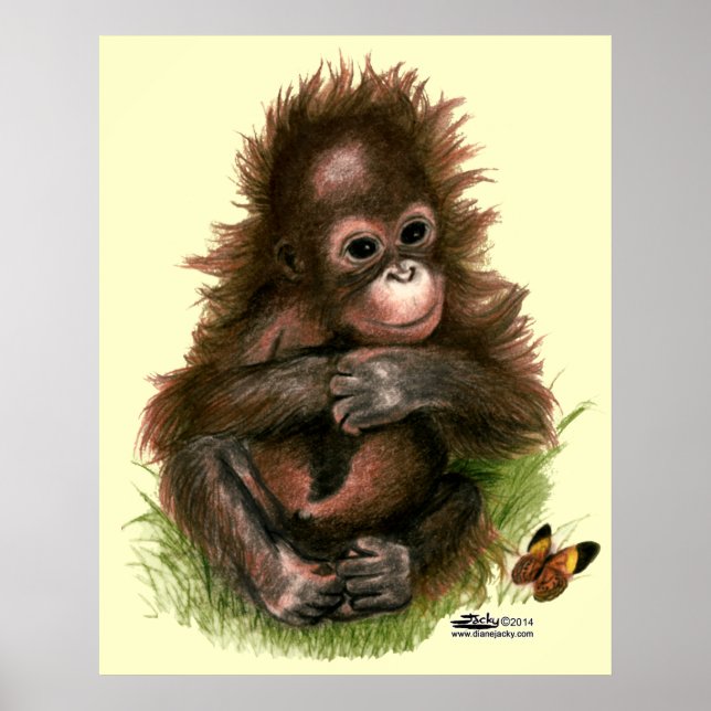 Póster Bebé y mariposa de Orangután (Frente)