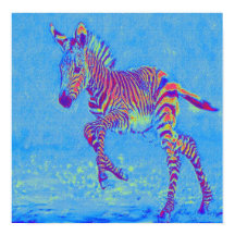 bebé zebra azul corriendo