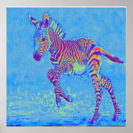 Póster bebé zebra azul corriendo