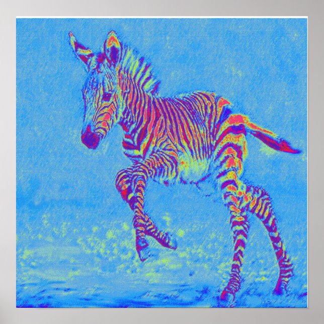 Póster bebé zebra azul corriendo