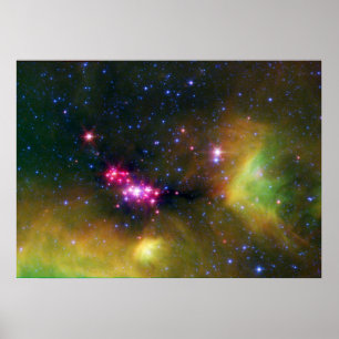 Póster Bebés estelares