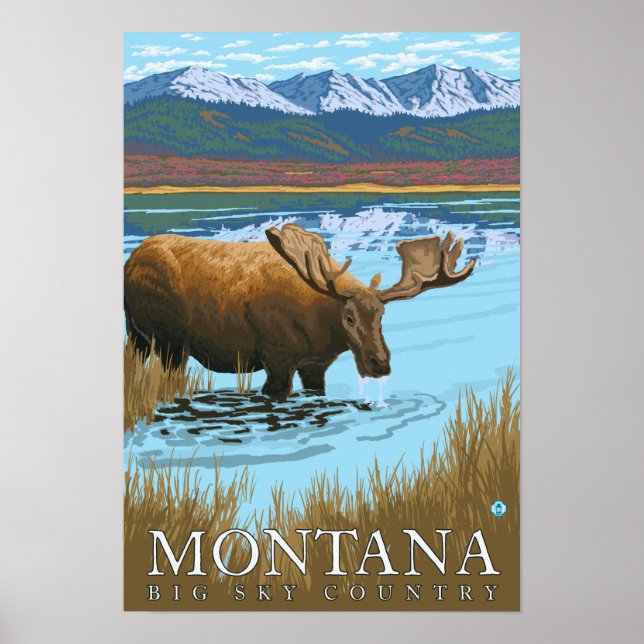 Póster Bebida de alce en el lago - Montana (Frente)