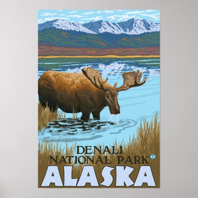 Póster Bebida de alce en el Parque Nacional Lago Denali, (Frente)