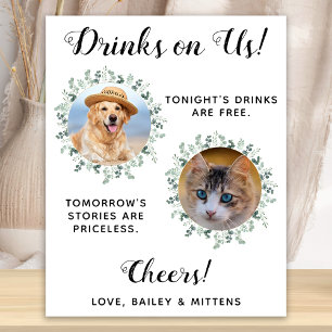 Póster Bebidas a nuestro cargo Bar abierto para perros Fo