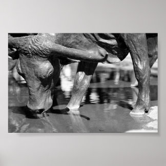 Póster Bebiendo Longhorn