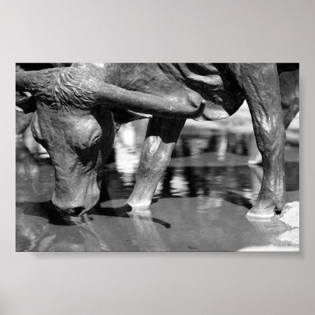 Póster Bebiendo Longhorn (Frente)