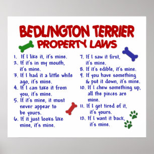 PÓSTER BEDDLINGTON TERRIER PL2