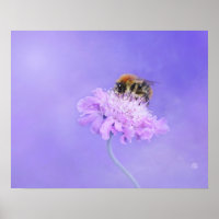 Bee de burbujas encaramado en una flor morada