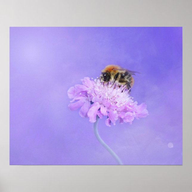 Póster Bee de burbujas encaramado en una flor morada (Frente)