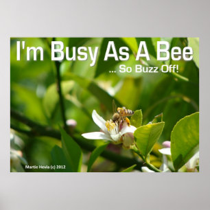Póster Bee - Estoy ocupado, así que Buzz fuera - Poster