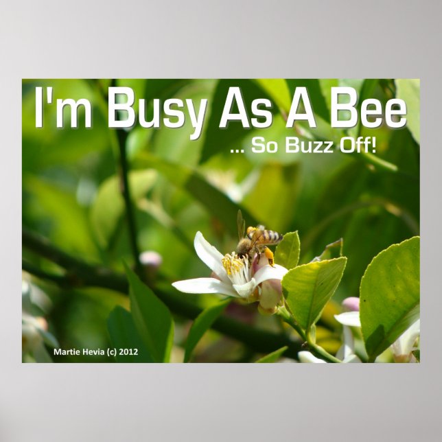 Póster Bee - Estoy ocupado, así que Buzz fuera - Poster (Frente)