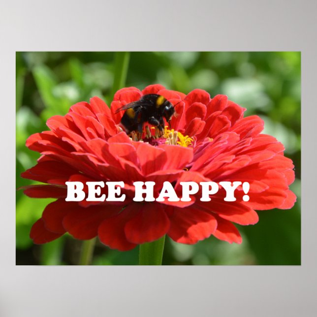 Póster Bee Happy Red Flower (Frente)