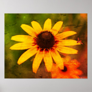 Póster Bee On Black Eyed Susan Flower Molestias Art